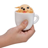 Schylling Pup in A Cup Toy, 1 EA